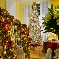 Rooms in Bloom holiday party - Magazine submission