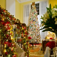 Rooms in Bloom holiday party - Magazine submission