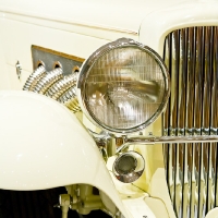 The Allure of the Autombile