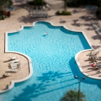 Is it real or a toy?