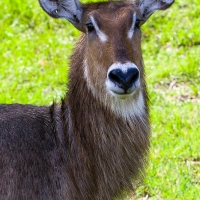 You takin' my pitchure?