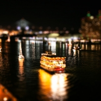 Is it real or a toy?